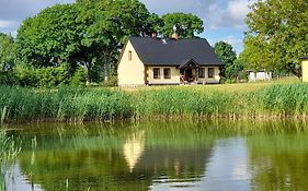 PRZYSTANEK nowEKOprzywno - Żółty Domek Pod Kasztanem